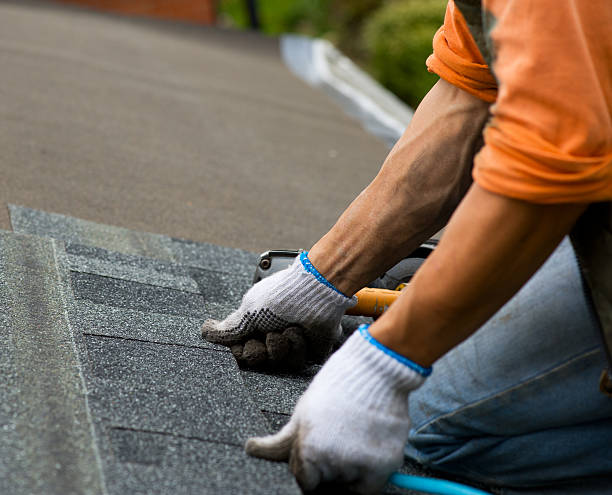 Professional Roofing Contractor in Villa Park, IL